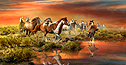 FRONTRUNNER, horses run at sunset in this canvas by Roberta Wesley by Roberta Wesley
